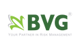 BVG Group Transparent-01 (1).png