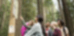 Looking at map