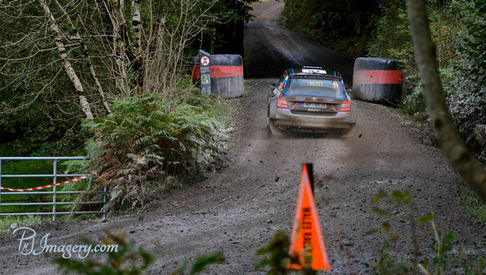 Rally car on gravel road in the forest.