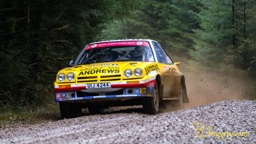Rally car on gravel road in the forest.