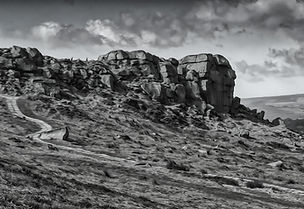 Cow&Calf Rocks Digital Artwork