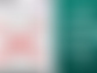 A poster of sight words with a large X through it 