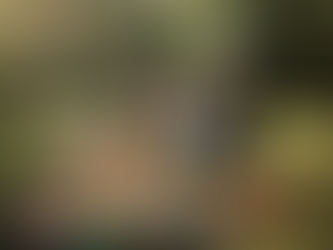 Weekend reading retreats for neurodiverse learners