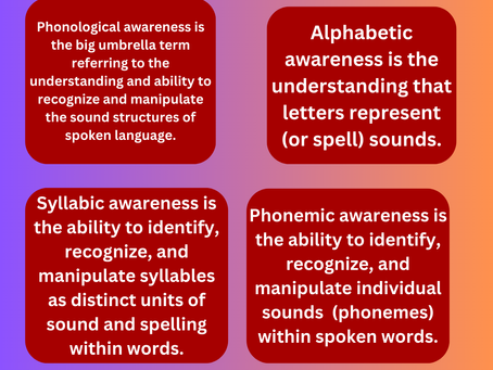 A chart showing the 4 big ideas in reading