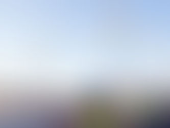 COUP DE RABOT SUR LA DFS (1,5 miliards d'euros)