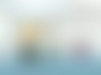 Inapplicabilité du régime de faveur des ZRR pour une activité libérale en hôpital public