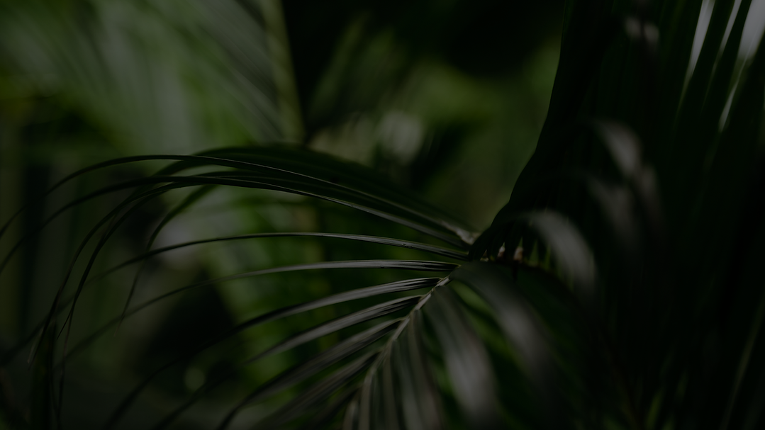 Free Guide - The Inner Compass (35).png