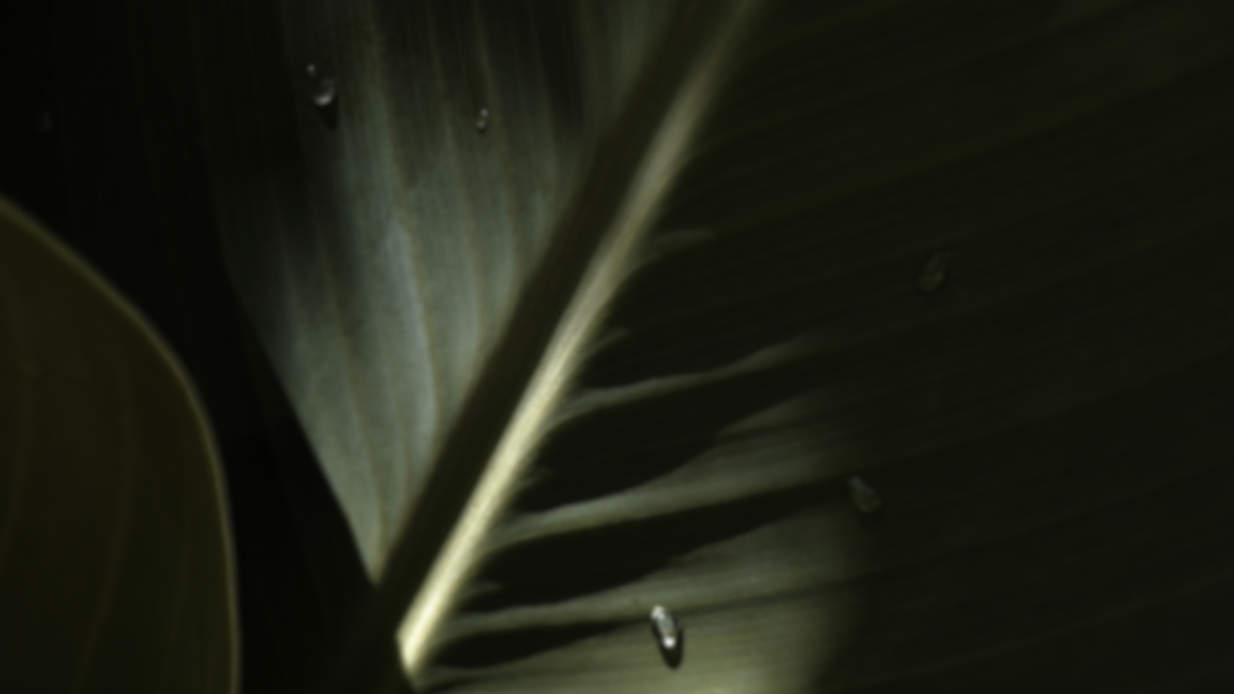 Namnlös design (17).png