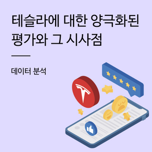 [데이터 분석] 테슬라 주식에 대한 양극화된 평가와 그 시사점