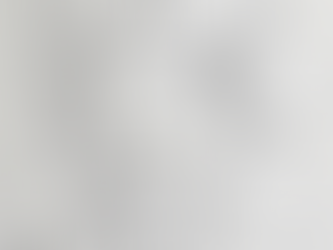 מה הקשר בין קווין הקואלה והמלחמה?