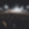 A large audience at a nightime rock concert.jpg