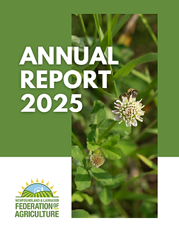 Screenshot 2026-02-06 113902.png