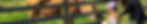 AdobeStock_441091809_edited.jpg