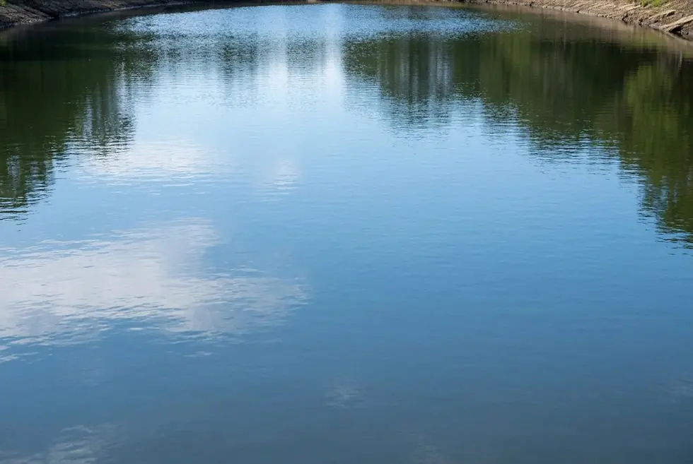 Landscape photography of a calm body of water reflecting trees and sky. The water's surface is smooth and still, creating a tranquil scene.
