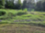 wide shot of overgrown grass, flowers and bushes covering rows of headstones in front of a small body of water in the middle of the cemetery