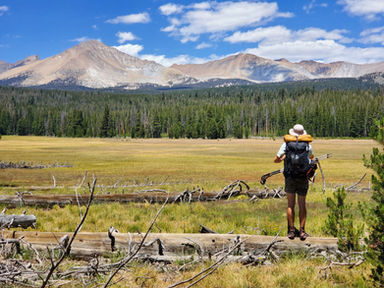 The High Sierra Mountains