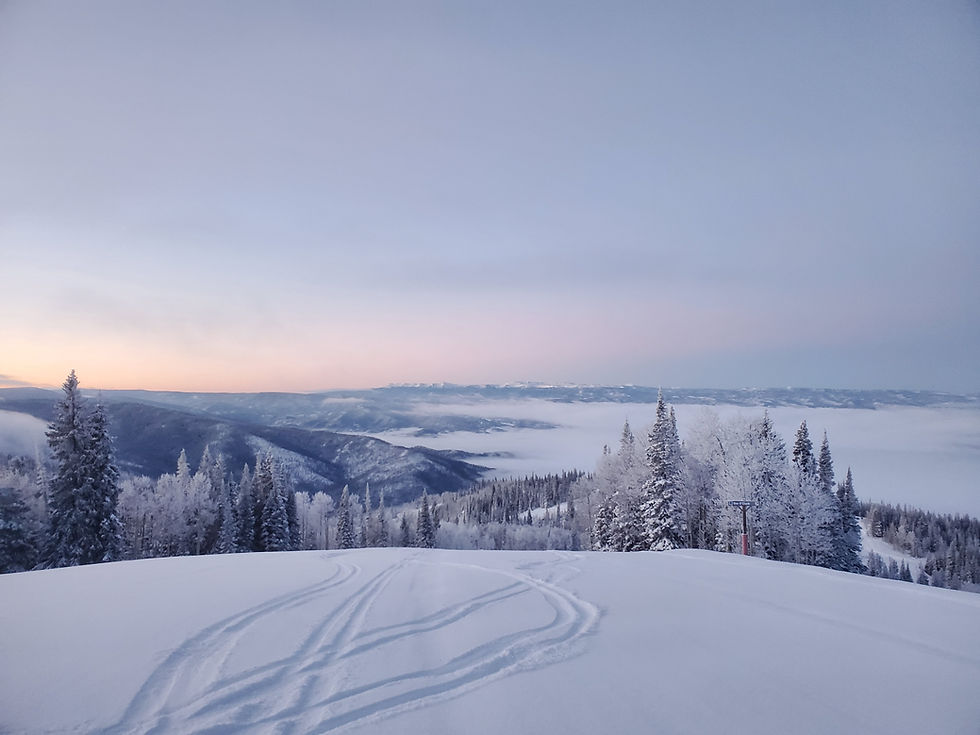 Best Downhill Skis: How to Choose the Right Pair