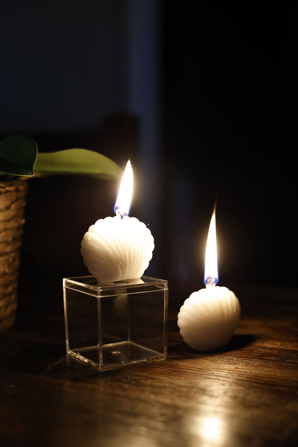 Thumbnail: BelleAir SeaShell Sphere Candle