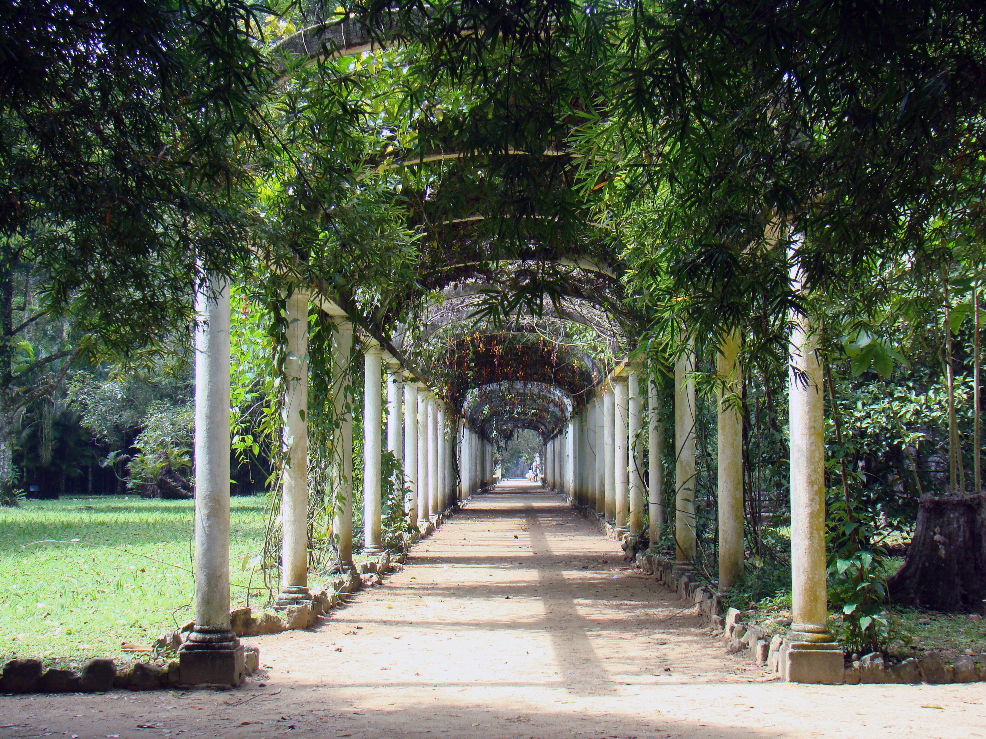 Jardim Botanico
