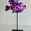 Miniature : Couchou