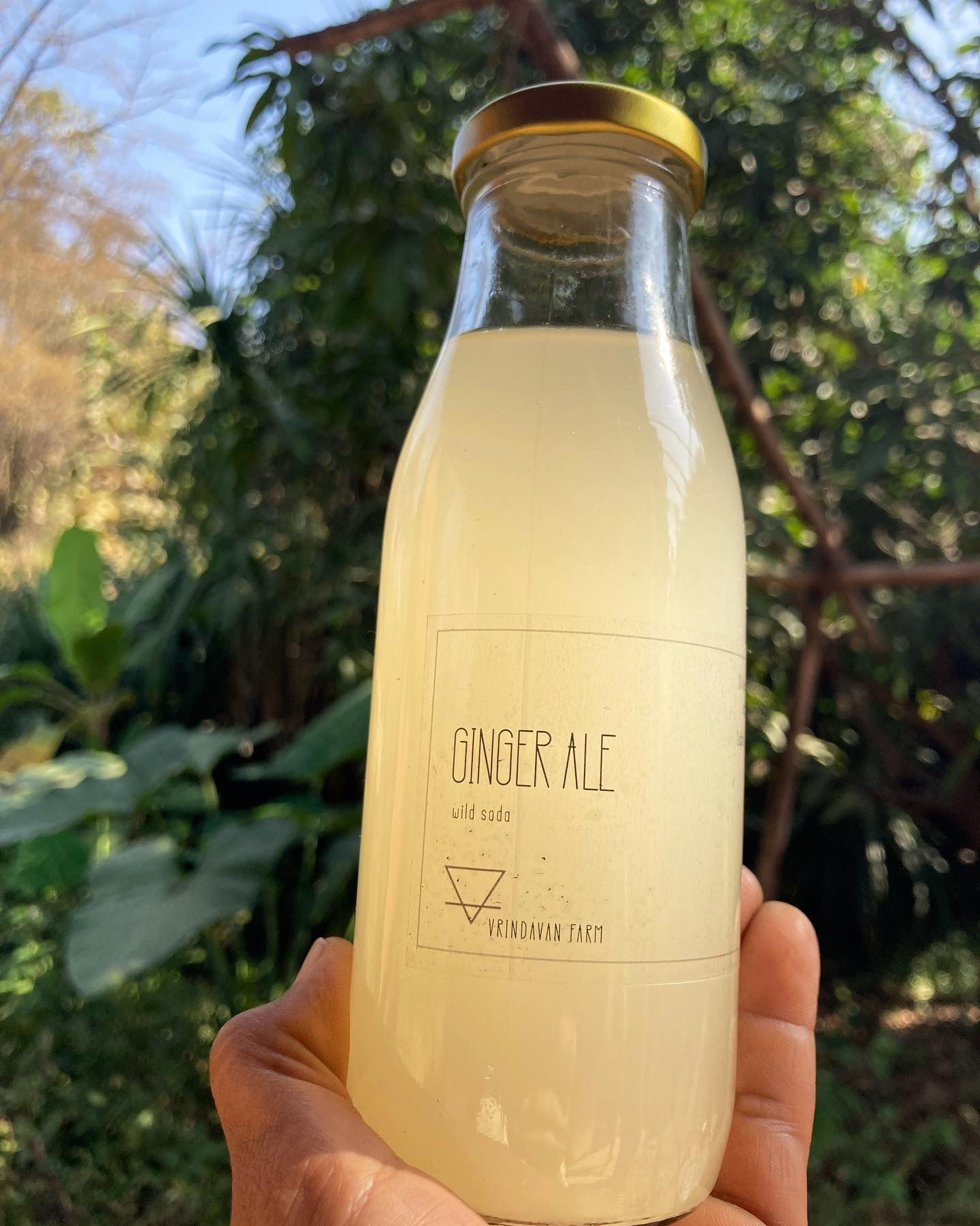 natural soda organic ale ginger