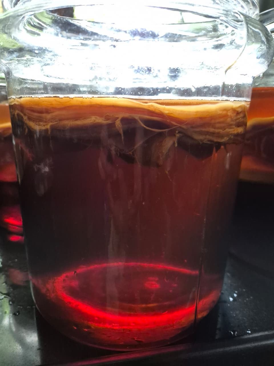 Kombucha first fermentation by Vrindavan Farm
