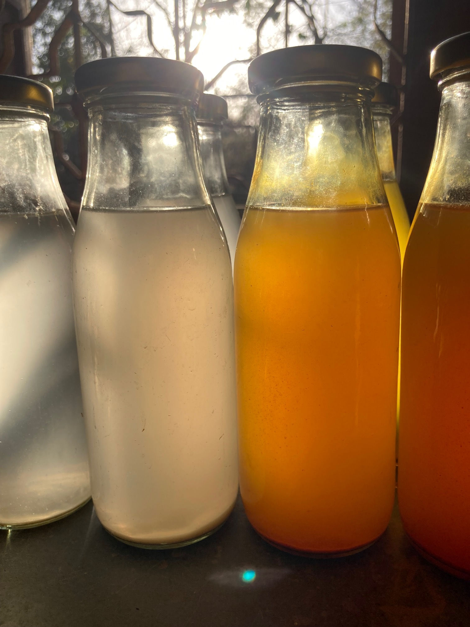 organic soda natural wild ale turmeric ginger