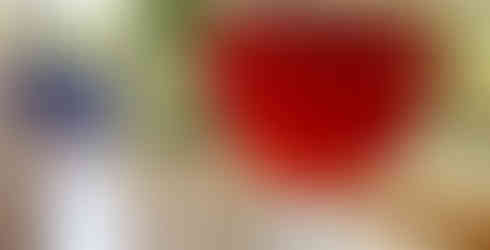 Hibiscus kombucha by Vrindavan farm