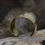 Thumbnail: Ishtar Brass Cuff