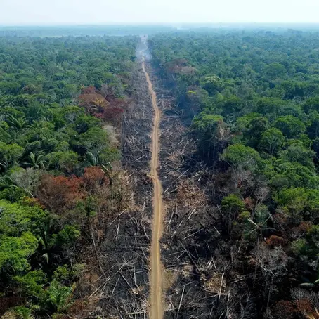 Disputa por terras, desmatamento e violência marcam os conflitos socioambientais na Amazônia