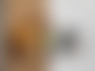 Panjeeri vs Protein Bars: The Original Energy Booster, Fun health comparison piece.