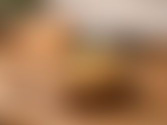 Why Traditional Foods Don’t Need Nutrition Claims