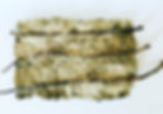 'Embedded Oak'.