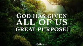 Uncovering Your Purpose: Navigating Through the Mysteries of Pain