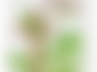 The Palm branch is a symbol of victory, triumph, peace and eternal life.