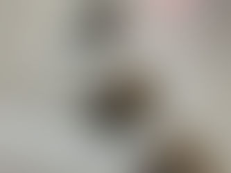 はきやすい！！モカシン入荷しました。