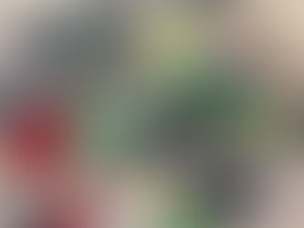 demodee  ブローチ新作入荷しました❣