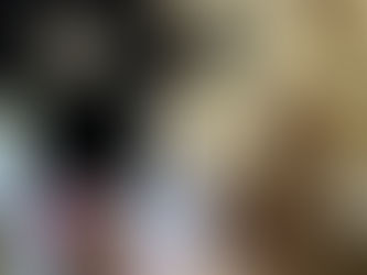 araara ロゴTシャツしっかりした素材で透け感が気にならないのでつかえますね。