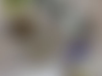 水牛ブレスレット入荷しました。