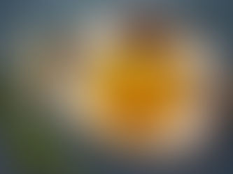 ARISI PARUPPU SAADHAM(LENTIL RICE)