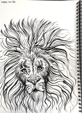 London Zoo trip - A3 ink and brush sketch