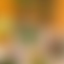 Carne Asada with Chimichurri 