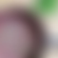 One Pot Red Wine Spaghetti