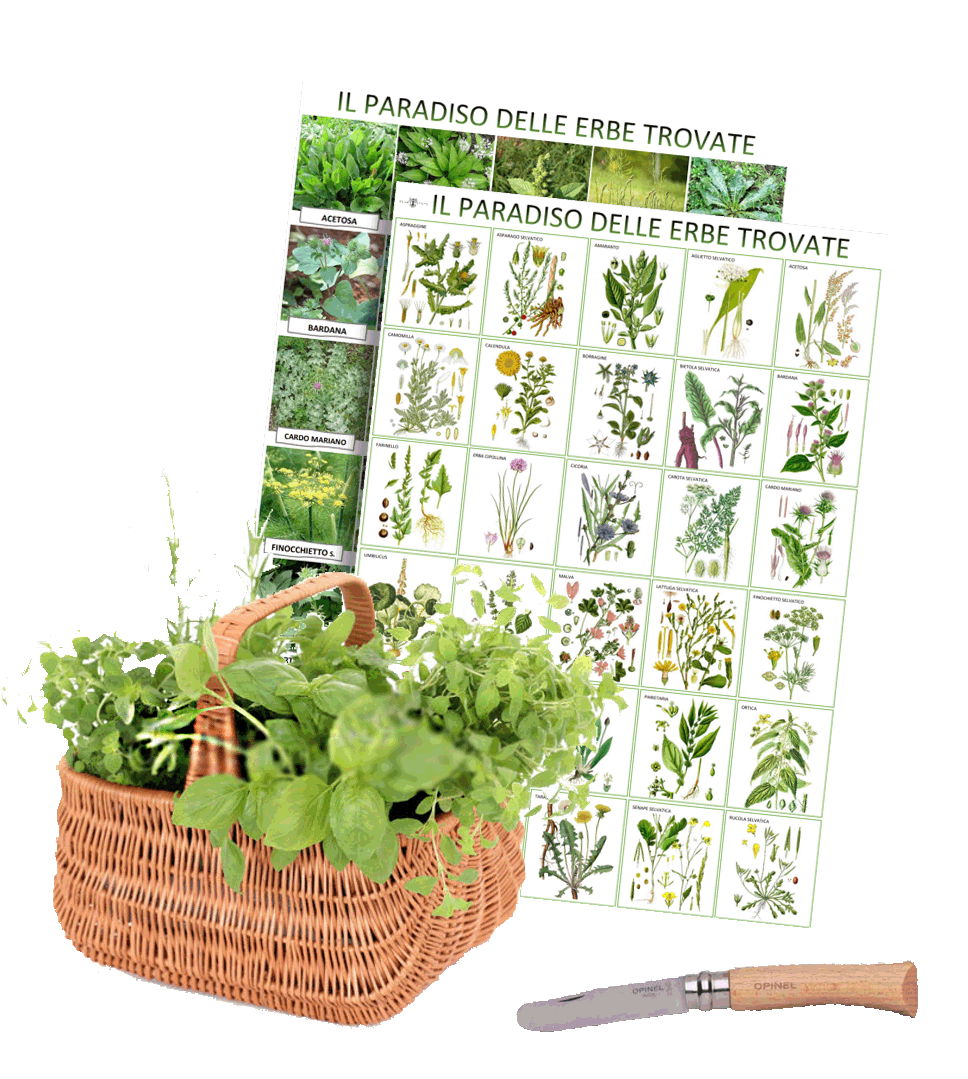 wild herbs.gif