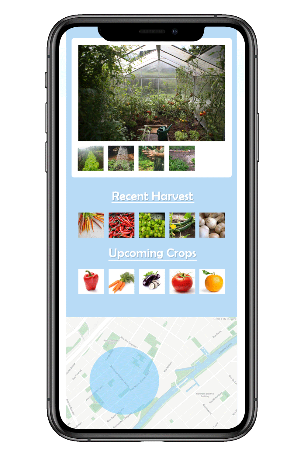 iphone-X-13-NG-Grower.gif