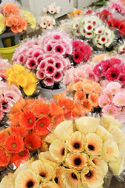 FlowerFusion-cut flower-gerbera with sleeves.jpg