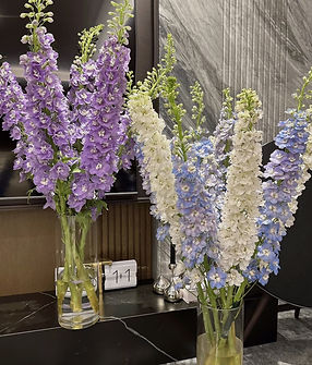 flower_fusion-Dephinium-Cut_flower.jpg