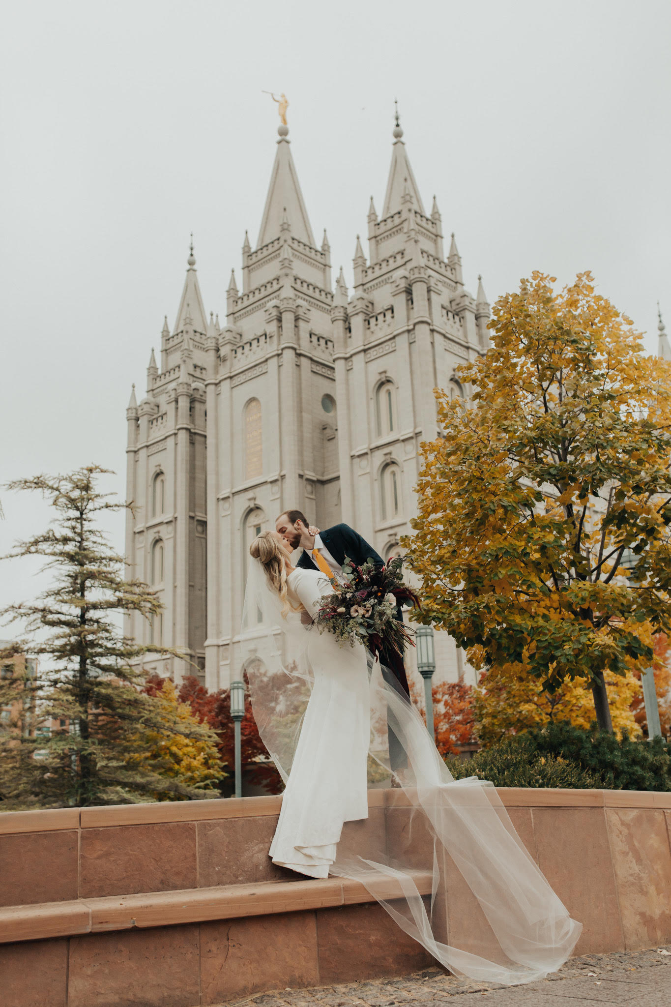 Fitted Pronovias Gown