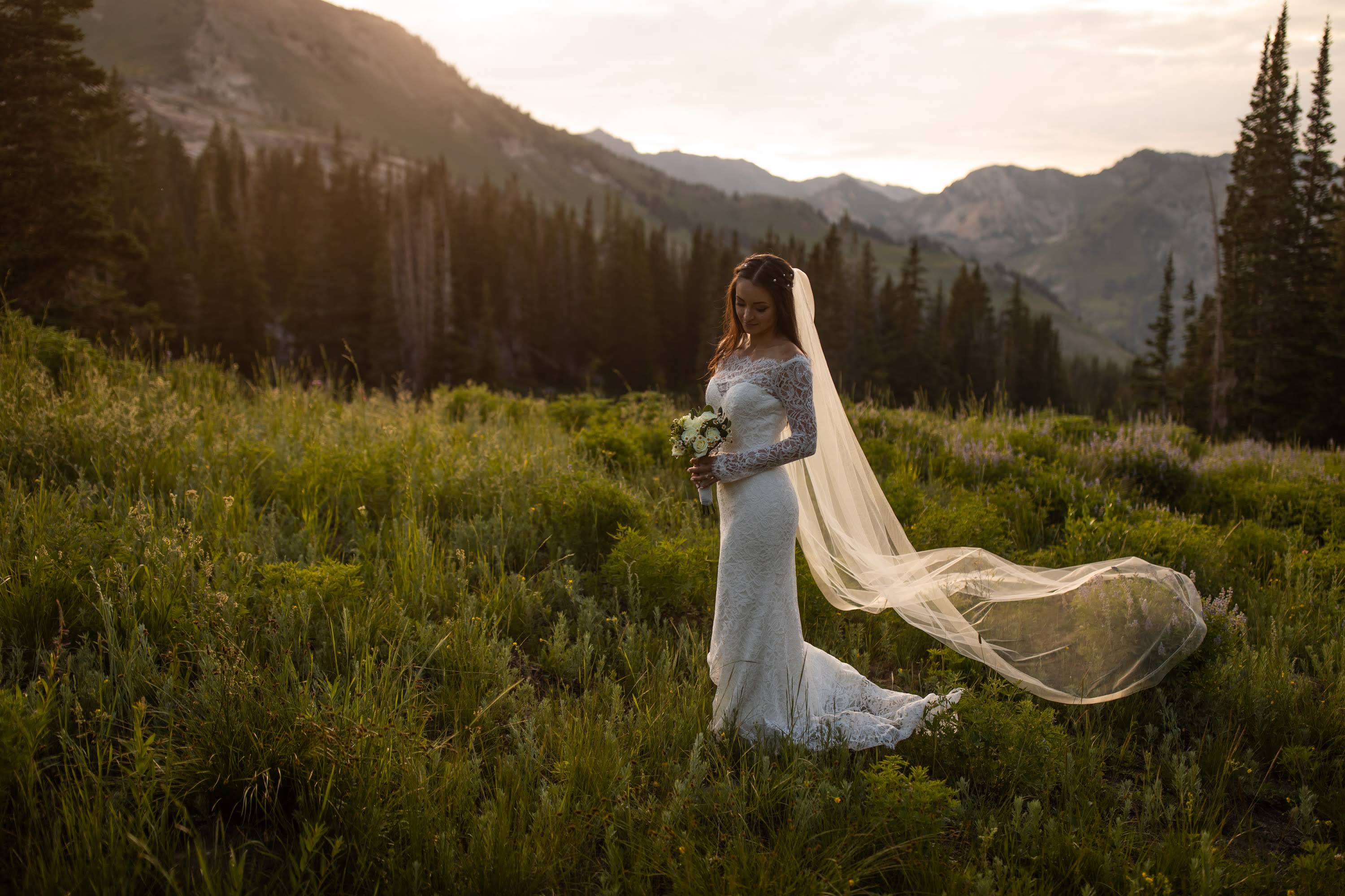 Mary's Brides