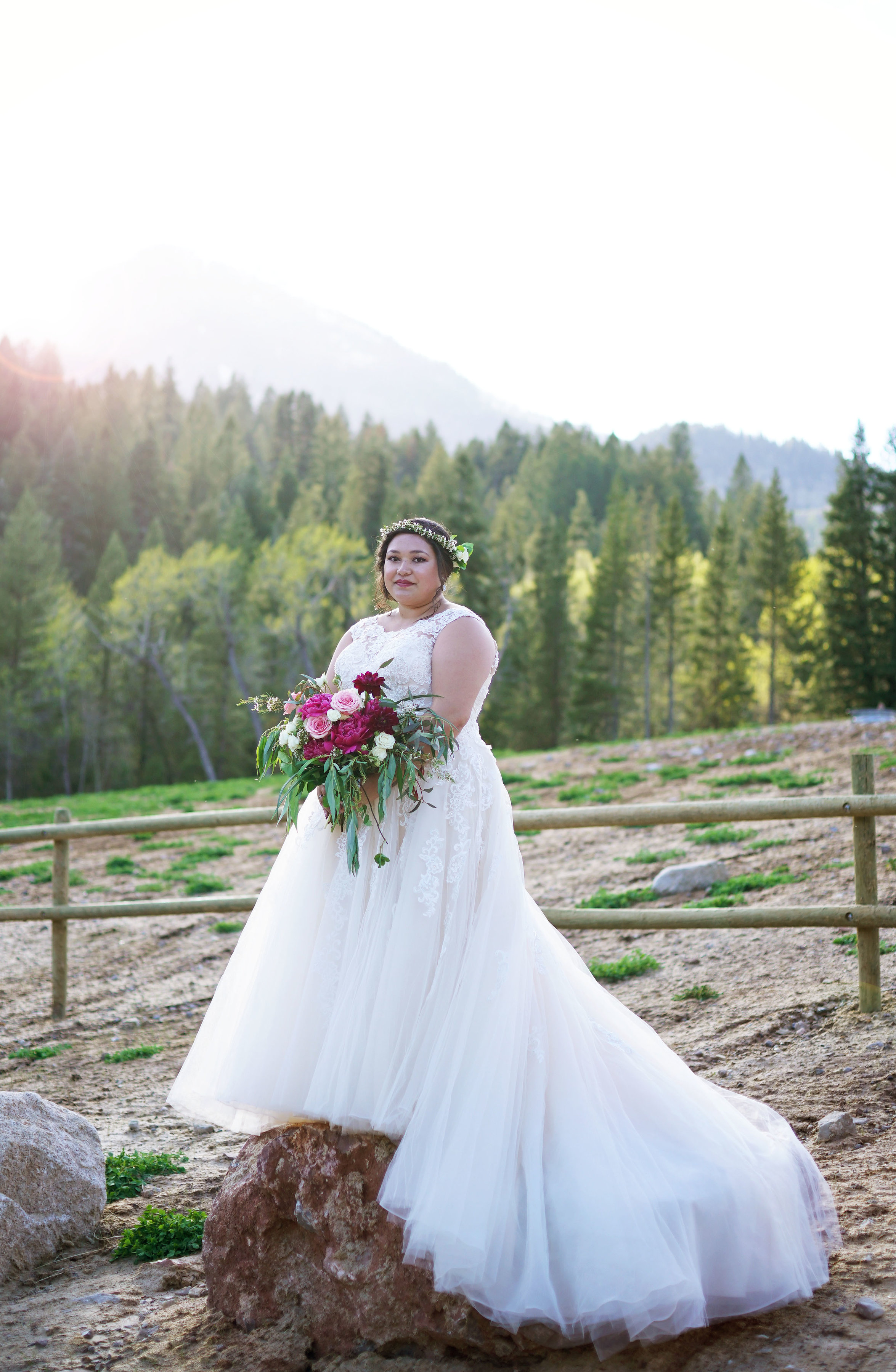 Mary S Brides